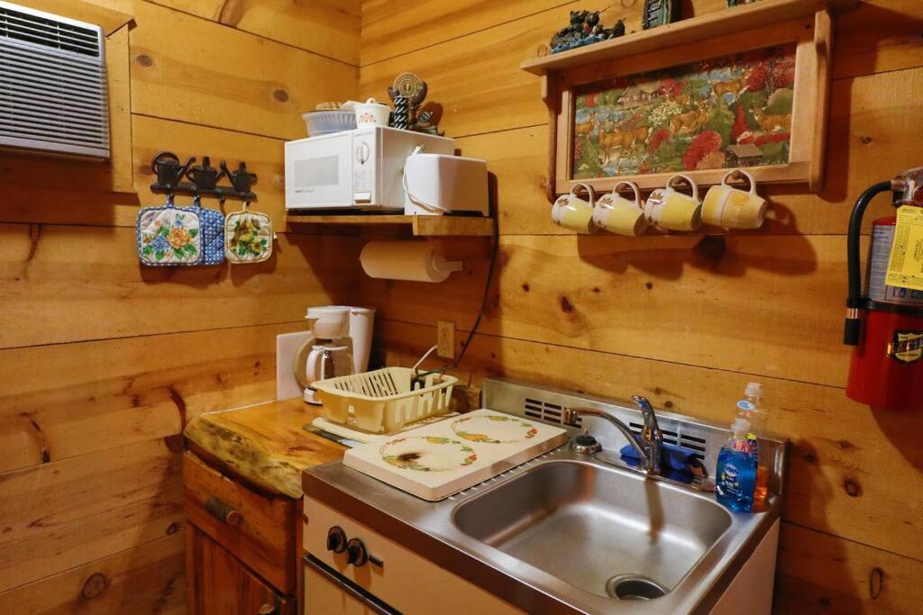 Cute Updated Mountain Cabin Fireplace #3 Helen Εξωτερικό φωτογραφία